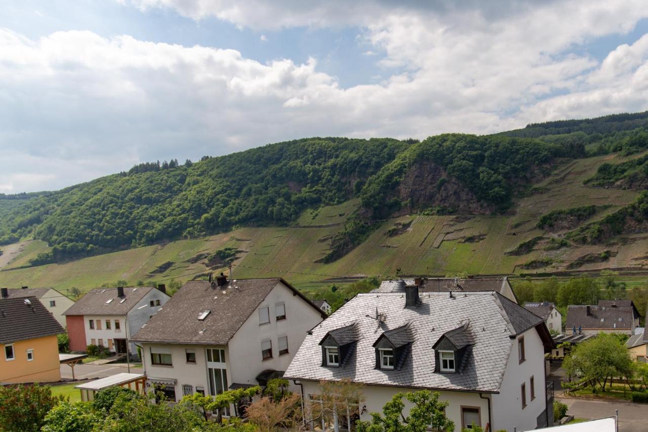 Ferienwohnungen Schorn Burg  Buitenkant foto