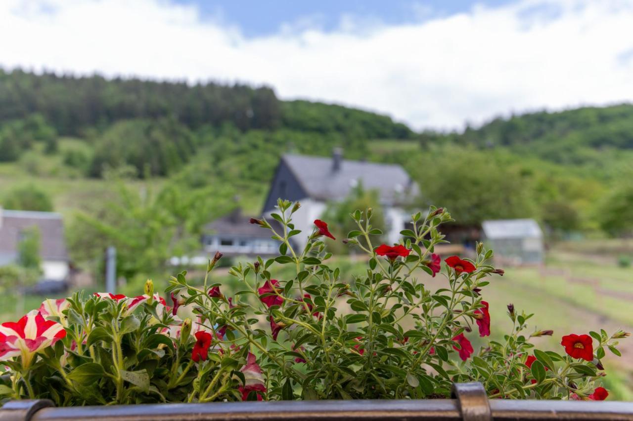 Ferienwohnungen Schorn Burg  Buitenkant foto